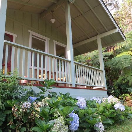 Carson'S Kaloko Mountain Cabin Kailua-Kona Exteriér fotografie