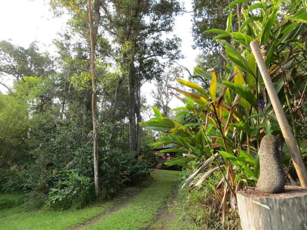 Carson'S Kaloko Mountain Cabin Kailua-Kona Exteriér fotografie