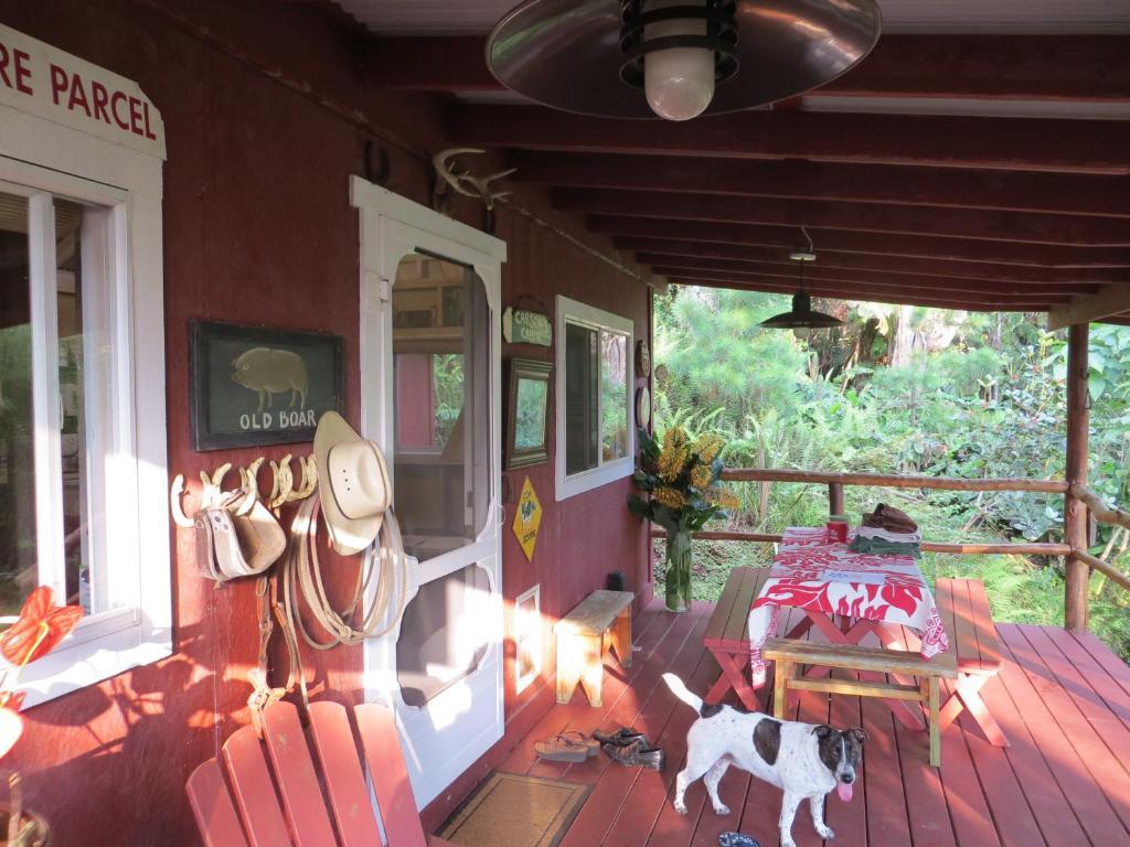 Carson'S Kaloko Mountain Cabin Kailua-Kona Pokoj fotografie